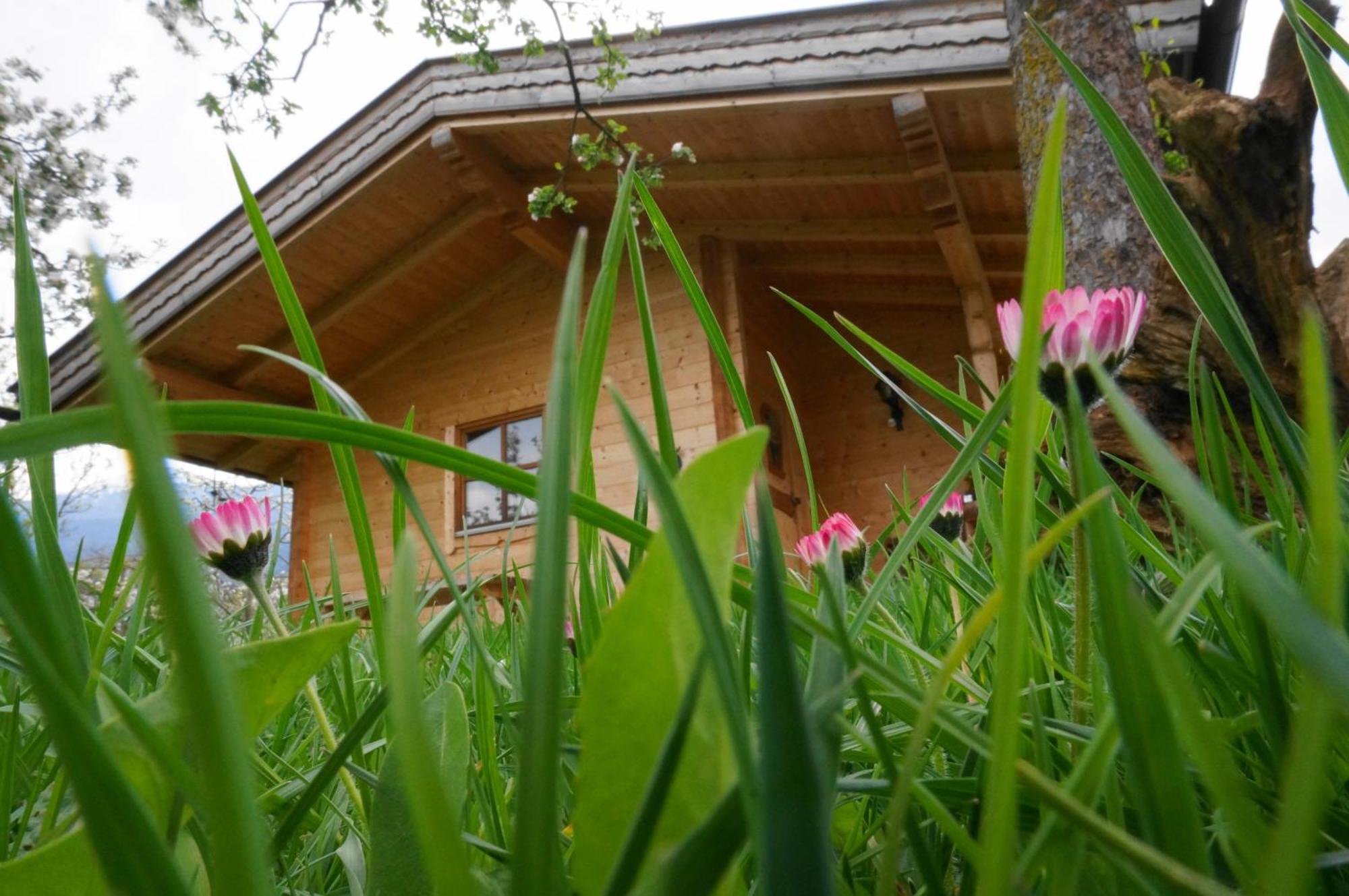 Ferienhaus Mandlhof Weer Dış mekan fotoğraf