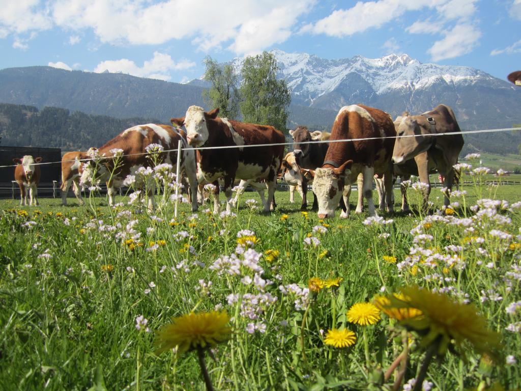 Ferienhaus Mandlhof Weer Dış mekan fotoğraf